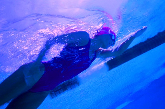 safe-to-go-back-in-the-water