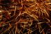 Fireworks:  Fourth of July, $90 million Up in Smoke   –  Millions Homeless